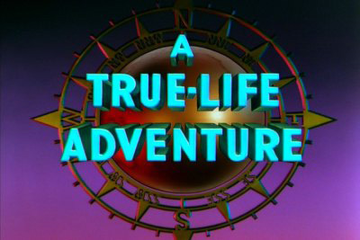 A True-Life Adventure A True-Life Adventure