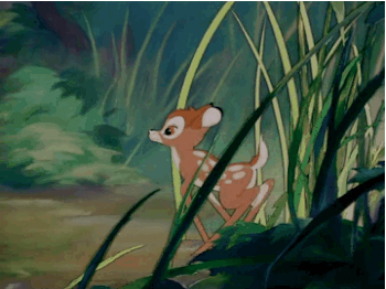 Bambi walking