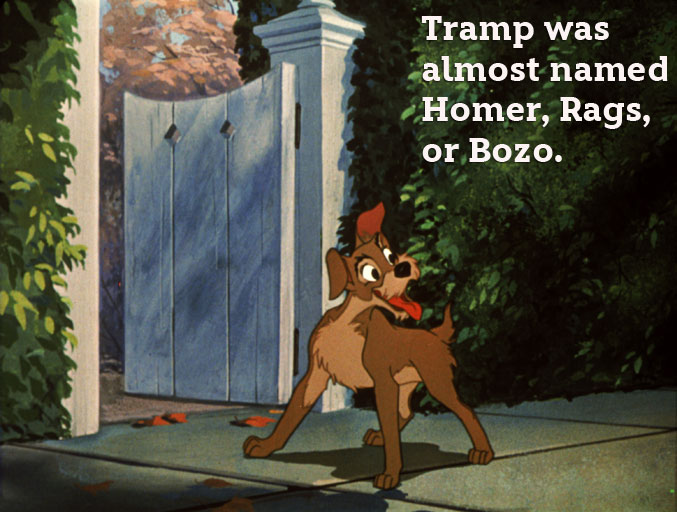 disney-facts-tramp